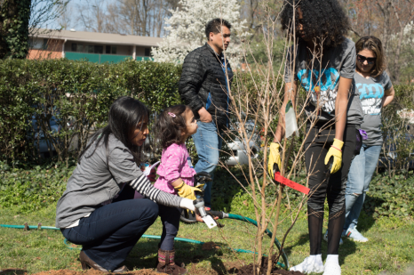 Starbucks tree event Krish Alana